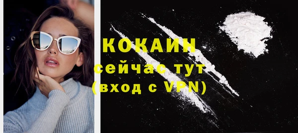 стафф Дмитровск
