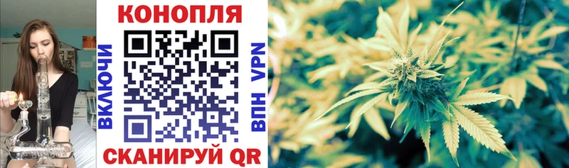 Купить  Инза  Канабис индика 